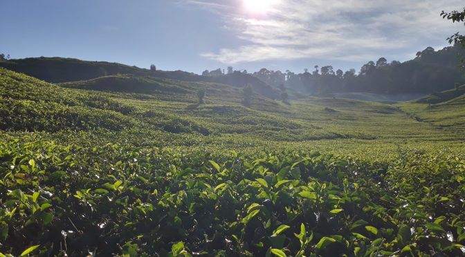 Kesabaran Membawanya Menuju Surga